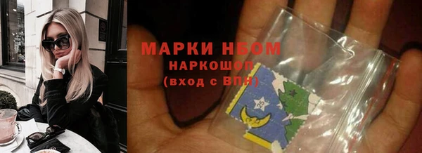 стаф Алексин