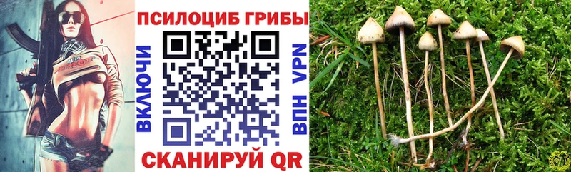 Галлюциногенные грибы GOLDEN TEACHER  где продают   МЕГА ССЫЛКА  Фролово 