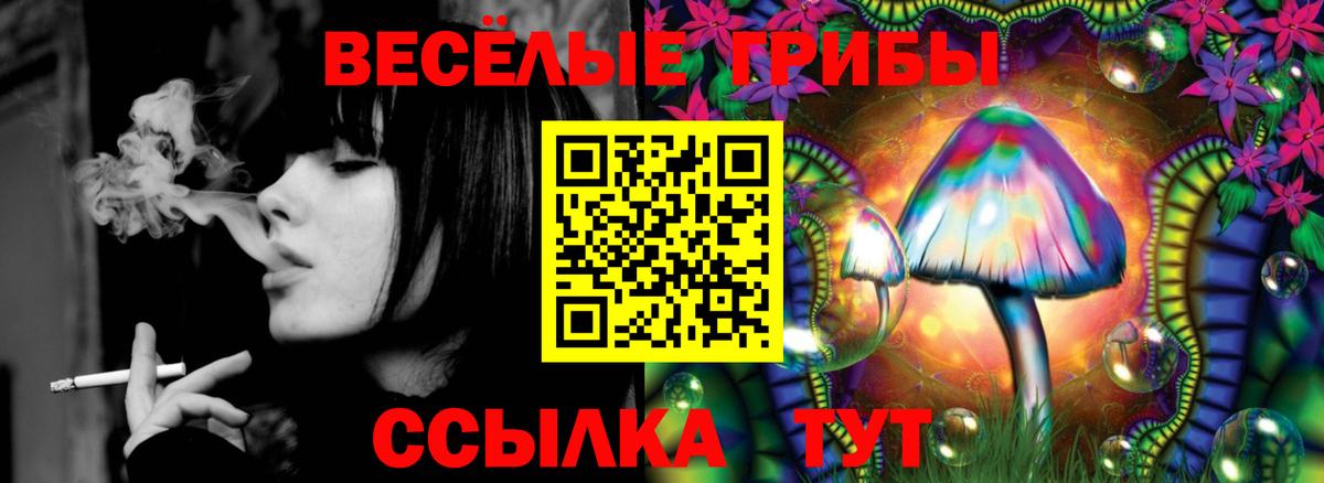 Псилоцибиновые грибы Psilocybe Фролово